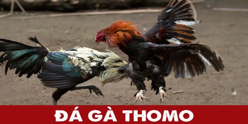 3 bí kíp tránh khỏi gian lận