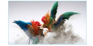 Tạo tài khoản đá gà trực tiếp